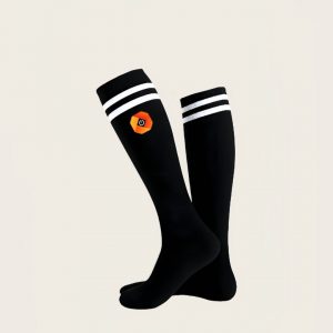 697586a7550253c072e115ef503a73f6